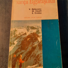 Muntii Fagarasului V. Balaceanu M. Cicotti