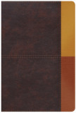 Rvr 1960 Biblia de Estudio Arcoiris, Cocoa/ Terracota S