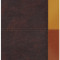 Rvr 1960 Biblia de Estudio Arcoiris, Cocoa/ Terracota S