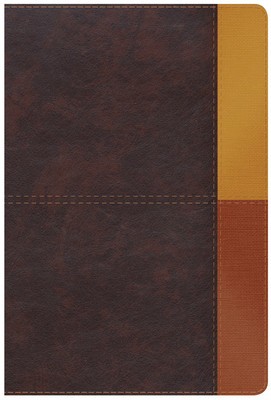 Rvr 1960 Biblia de Estudio Arcoiris, Cocoa/ Terracota S