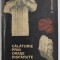 CALATORIE PRIN ORASE DISPARUTE de S. OERTWIG , 1966
