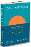 Calypso - David Sedaris