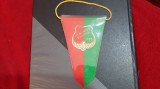 Fanion Dunakeszi Vasutas