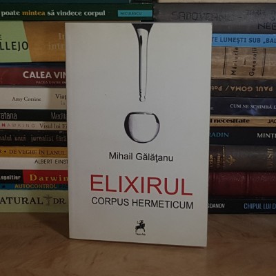 MIHAIL GALATANU - ELIXIRUL (CORPUS ERMETICUM) , 2013 * foto
