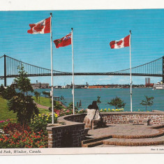CN1 - Carte Postala - CANADA- Centennial Park , Windsor, Ontario, Circulata