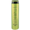 Sampon Reconstructie par deteriorat cu Acid Hialuronic Cura Recovery Maxxelle 250 ml