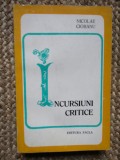 Nicolae Ciobanu - Incursiuni critice