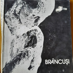 Brancusi, viata si opera - Ionel Jianu