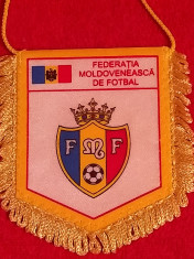 Fanion Federatia de Fotbal din MOLDOVA foto