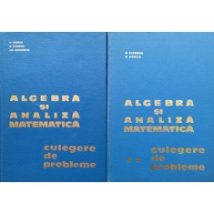 Algebra Si Analiza Matematica Culegere De Probleme Vol. 1-2 - N. Donciu , D259
