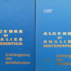 Algebra Si Analiza Matematica Culegere De Probleme Vol. 1-2 - N. Donciu ,556117