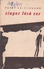 Singur fara Cer foto