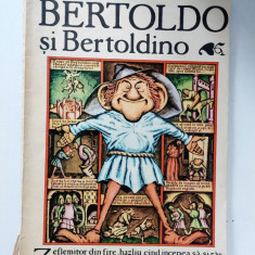 Bertoldo si Bertoldino. Poveste populara italiana - Editura Ion Creanga, 1984