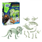 DESCOPERA DINOZAURUL TRICERATOPS, Clementoni