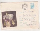 Bnk ip Intreg postal 171/1969 - circulat - flori, Dupa 1950