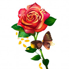 Sticker decorativ, Trandafir, Portocaliu, 87 cm, 8519ST foto