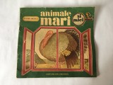 ANIMALE MARI SI MICI - T. Arghezi - ETHEL LUCACI-BAIAS (ilustratii) 1986, 24p.