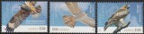 Australia, 2025, pasari de prada, serie si bloc, MNH