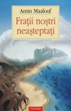Cumpara ieftin Fratii Nostri Neasteptati, Amin Maalouf - Editura Polirom