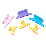 Clame de par Color Pin set 12