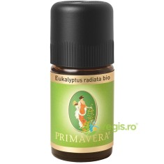 Ulei Esential de Eucalipt Australian (Radiata) Ecologic/Bio 5ml