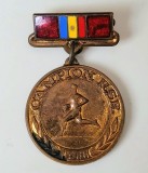 Insigna campion RSR 1966