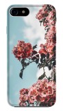 Toc TPU Design Spring No. 001 Apple iPhone 11 Pro