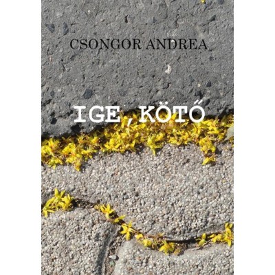 Ige, k&amp;ouml;tő - Csongor Andrea foto