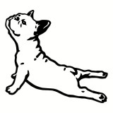 Sticker Auto, Buldog Francez, 15 cm, 13002ST