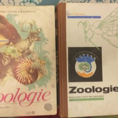 2 manuale Zoologie, anii'70-'80