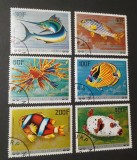 Comore &ndash; Faună marină, serie completă 6 timbre ștampilate &ndash; A40