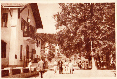 AMS# - ILUSTRATA/VEDERE SINGEORZ-BAI, PAVILIONUL CENTRAL 1957, CIRCULATA foto