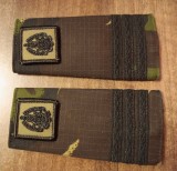C3 - Grade militare - mozaic padure - capitan logistica