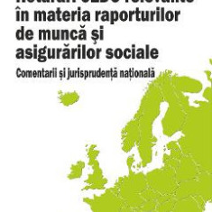 Hotarari CEDO relevante in materia raporturilor de munca si asigurarilor sociale - Razvan Anghel