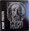 IOSIF FEKETE de MIRCEA TOCA , 1977