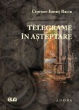 Telegrame in asteptare &ndash; Ciprian-Ionut Baciu