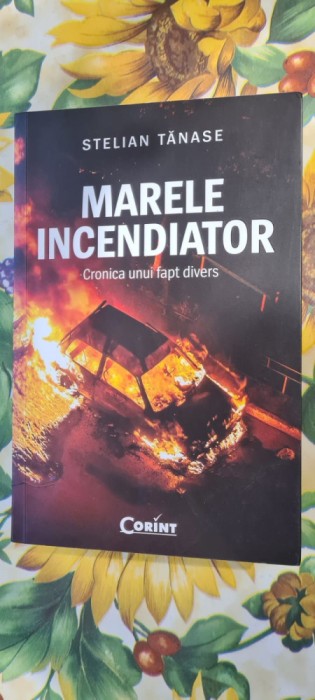 Marele incendiator. Cronica unui fapt divers, Stelian Tanase