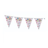 Banner Happy Birthday, Cyrax, Stegulete, 33 x 24 cm, Model Happy Everyday, Multicolor