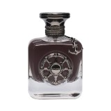 Aurora, Explorer Black, Apă de parfum, Pentru bărbați, 100 ml