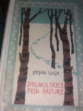 STEFAN LUCA DRUMUL TRECE PRIN PADURE