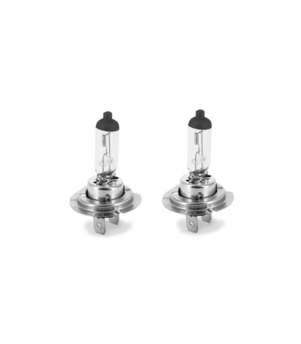Set de 2 becuri Halogen H7 55W +50% intensitate 12V Carguard