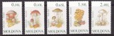 MOLDOVA 1996 CIUPERCI