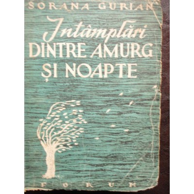 INTAMPLARI DINTRE AMURG SI NOAPTE - SORANA GURIAN foto