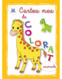 Cartea mea de colorat - Animale - DPH