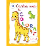 Cartea mea de colorat - Animale - Editura DPH