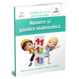 Numere si gandire matematica - Activitati de zi cu zi pentru prescolari