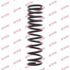 KYB RA5613 K-Flex Arc spiral