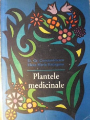 PLANTELE MEDICINALE - D. GR. CONSTANTINESCU, ELENA MARIA HATIEGANU foto