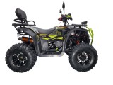 ATV XTR Pro Farmer X1 019, roti 10 inch, 250cc, 1+1 viteze, jante de aluminu, cu... Cod Produs: MX_NEW XTR-019/10PROX11-17