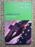 James Joyce - Gratia divina (Grace), editie bilingva, Litera, roman, 96 pagini